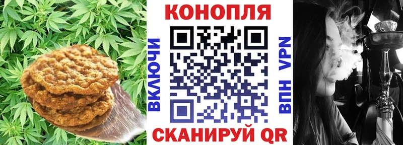 Cannafood конопля  закладки  Балабаново 